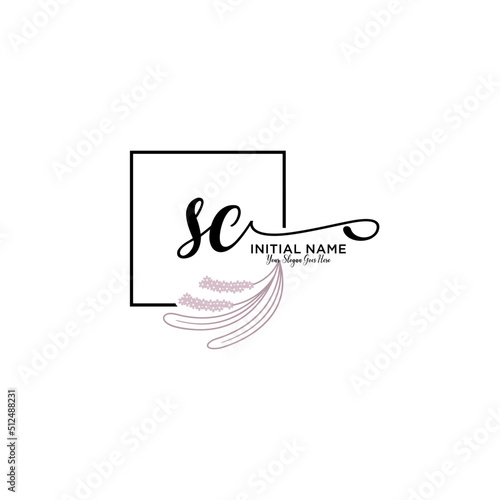 Initial letter SC beauty handwriting logo vector
