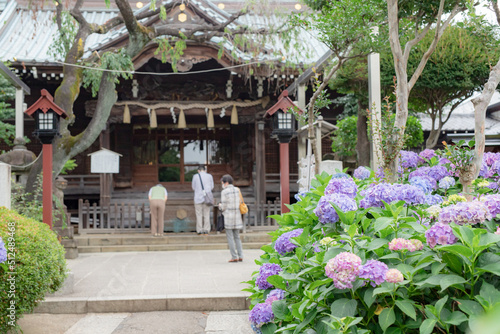 神社と紫陽花