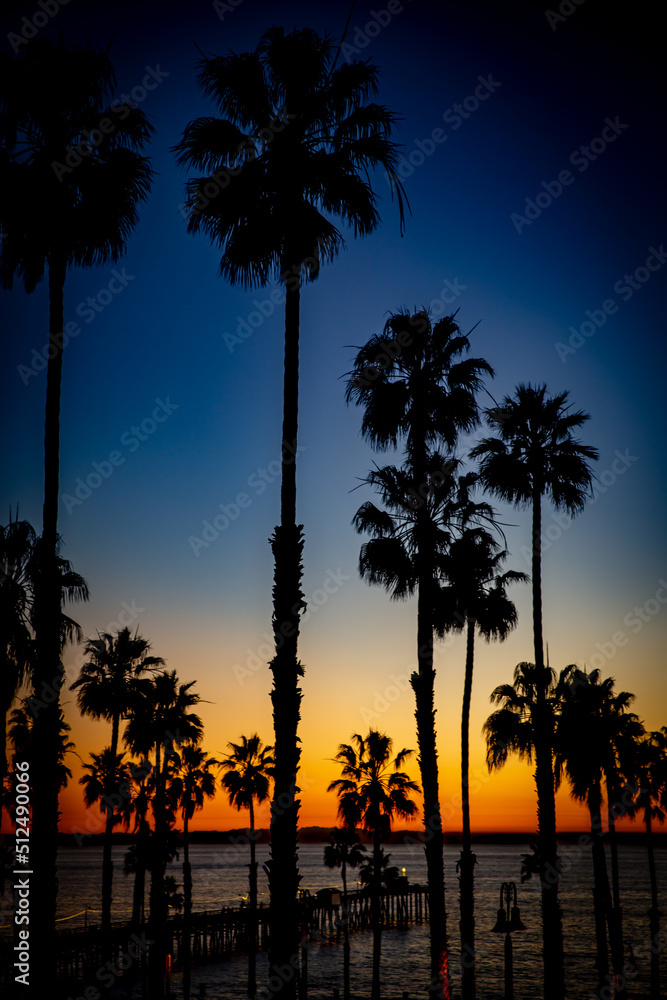 Naklejka premium sunset over the beach