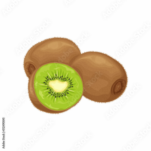 Kiwi fruit. Ripe kiwi. Image of a ripe kiwi fruit. Vitamin fruit. Organic vegetarian products. Vector illustration isolated on a white background