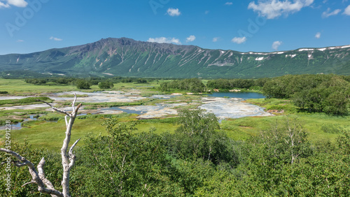 Ecosystem of the caldera of an extinct volcano. Hot springs and green vegetation are visible in the valley. A mountain range against the blue sky. Kamchatka. Uzon