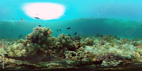 Tropical coral reef and fishes underwater. Tropical fishes and coral reef underwater. Travel vacation concept. Philippines. Virtual Reality 360.