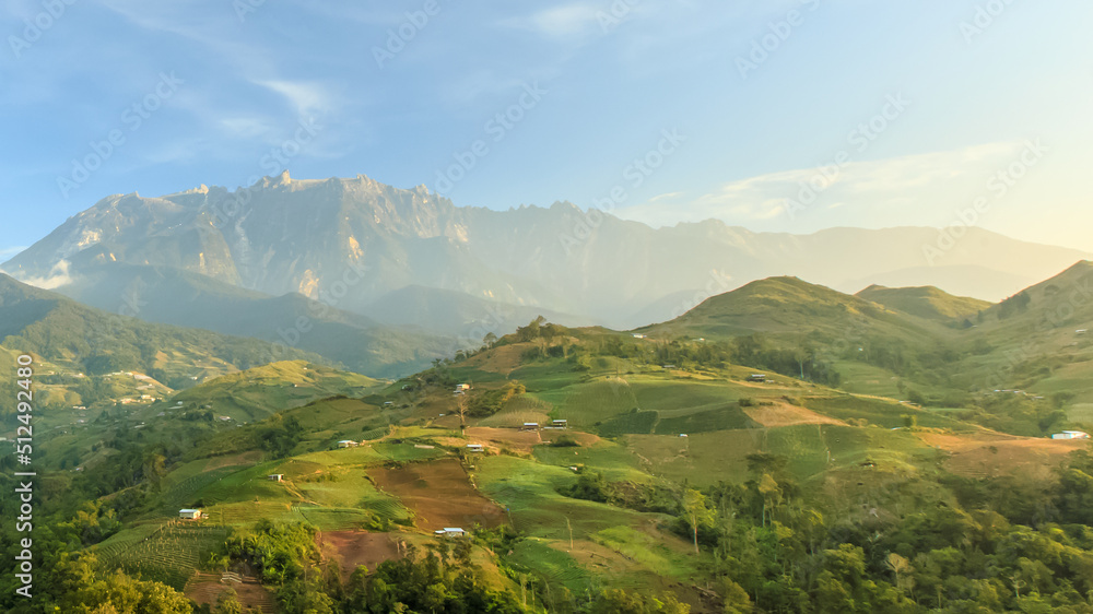 Beautiful landscape with cabbage farm and Mount Kinabalu at far background during morning.