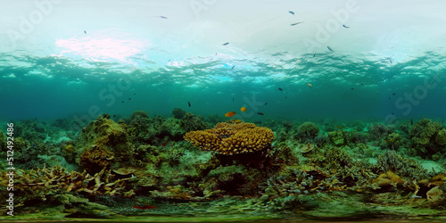 Fototapeta Naklejka Na Ścianę i Meble -  Underwater fish reef marine. Tropical colourful underwater seascape. Philippines. Virtual Reality 360.