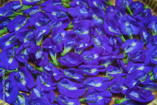a tray of blue pea flowers