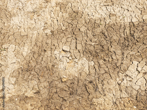 cracked soil background. drought land. sand ground texture.