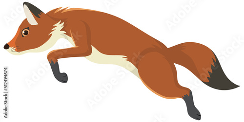 Fototapeta Naklejka Na Ścianę i Meble -  A fox jumping isolated