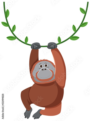 Orangutan hanging on liana