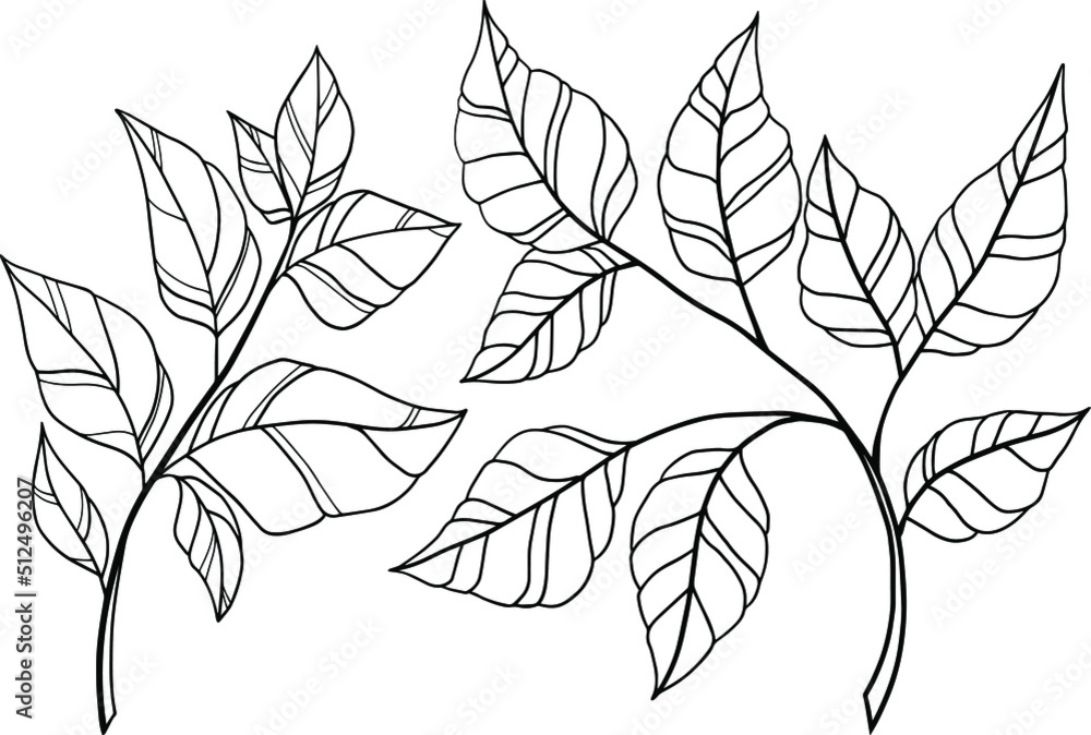 A set of branches in vector format. Elements for postcards. Wedding invitation. Branches on a white background. Line art. Vector.
