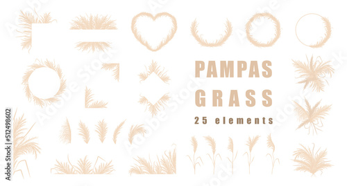 Pampas grass collection. Set of wedding bouquets, frame and borders. Vector cortaderia in boho style isolated on white. Trendy design elements for invitations, postcards, social media, stickers. photo