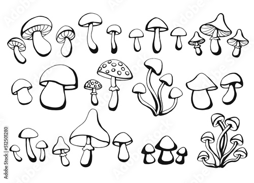Hand drawn set of mushrooms. Outline drawing. Vector illustration. Black and white.