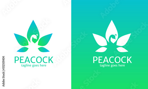 Illustration vector graphic of template logo beauty peacock style design modern
