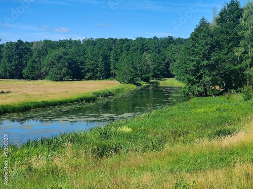 Fluß in Landschaft