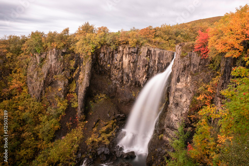 Svartifoss Falls in Autumn © Kyle Cavallaro Photo