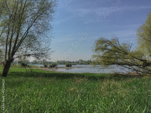 Beautiful lush nature landscape in natural reservation Urdenbacher Kempe Rheinaue at Rhein River in South of Dusseldorf, Germany in Urdenbach Benrath suburb on sunny Summer day in bloom photo