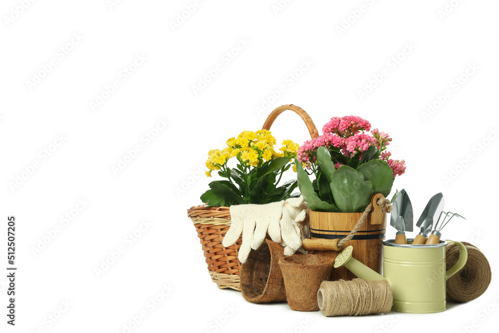 Gardening tools and accessories isolated on white background