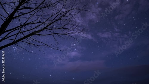 Geminids Meteor Shower in northern Australia - December 2020 photo