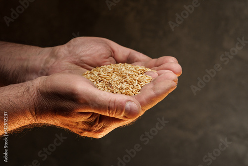 Close up of male hands holding small amount of wheat seeds. Lack of food and hunger concept