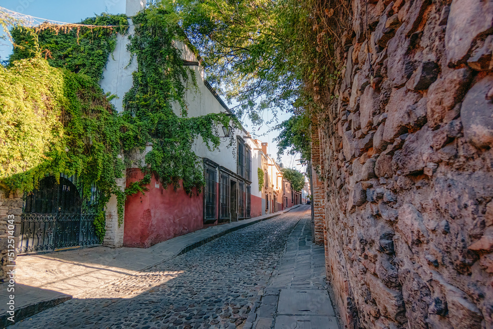 Street of San Miguel and Allende Guanajuato
