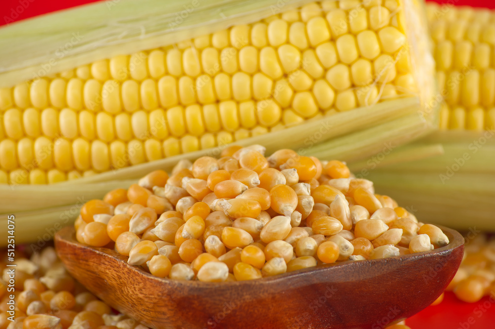 Bowl with corn kernels and corn cob with leaves Bowl with corn kernels and corn cob with leaves