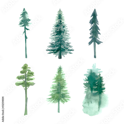 Watercolor forest single trees. High quality illustration © Юлия Устюгова