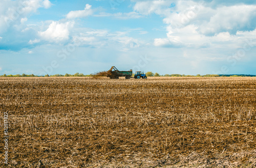 A tractor spreads cow waste to fertilize the soil before plowing. The use of organic fertilizers in agriculture.