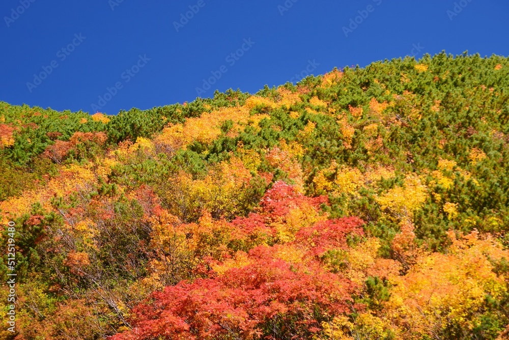 立山連峰　紅葉の季節