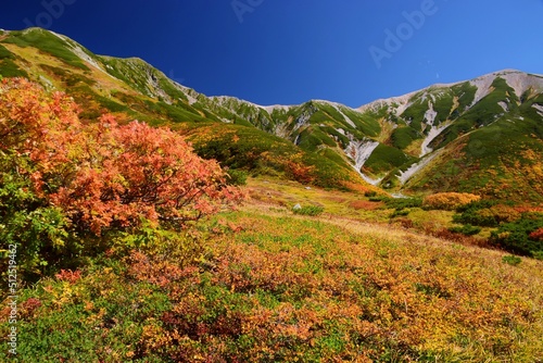立山連峰 紅葉の季節