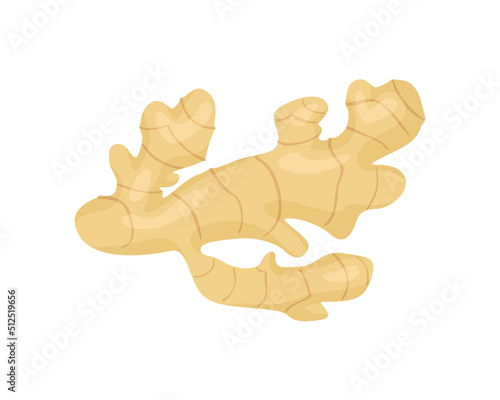 Ginger root isolated on white. Vector cartoon flat illustration. Healthy food icon.