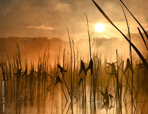 Wonderful sunsets and sunrises