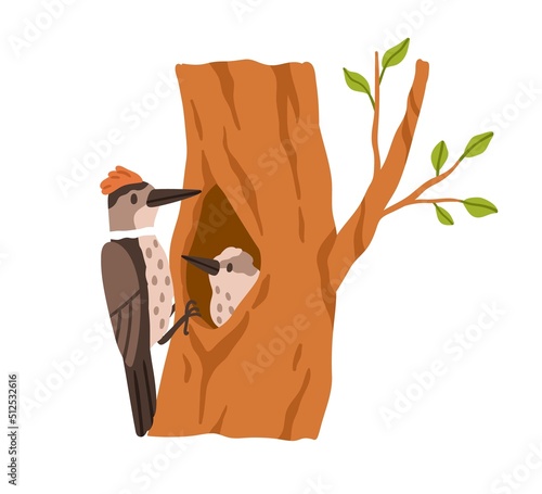 Woodpecker with nestling inside hollow in tree trunk. Forest pecker bird with little baby birdie in hole house in woods. Shelter, nest. Flat vector illustration isolated on white background