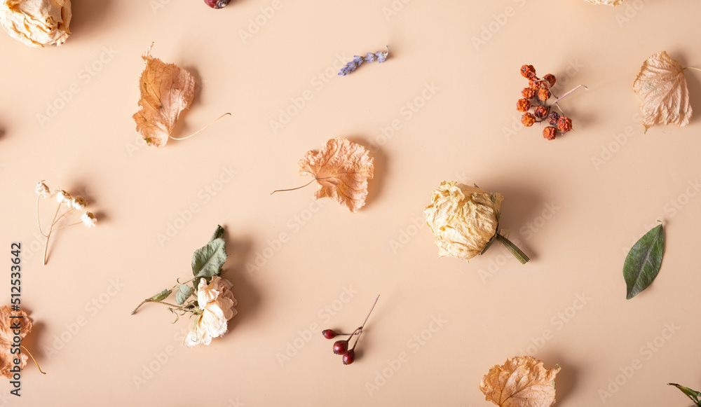 Autumn composition. Pattern made of dried leaves and flowers on pastel beige background. Autumn, fall concept. Flat lay, top view - obrazy, fototapety, plakaty 
