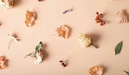 Autumn composition. Pattern made of dried leaves and flowers on pastel beige background. Autumn, fall concept. Flat lay, top view