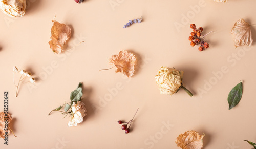 Autumn composition. Pattern made of dried leaves and flowers on pastel beige background. Autumn, fall concept. Flat lay, top view