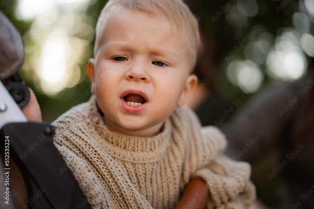 cute caucasian baby boy sitting in a buggy cute caucasian baby boy sitting in a buggy