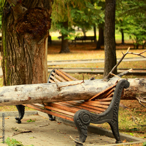 A tree crushed a bench in the park