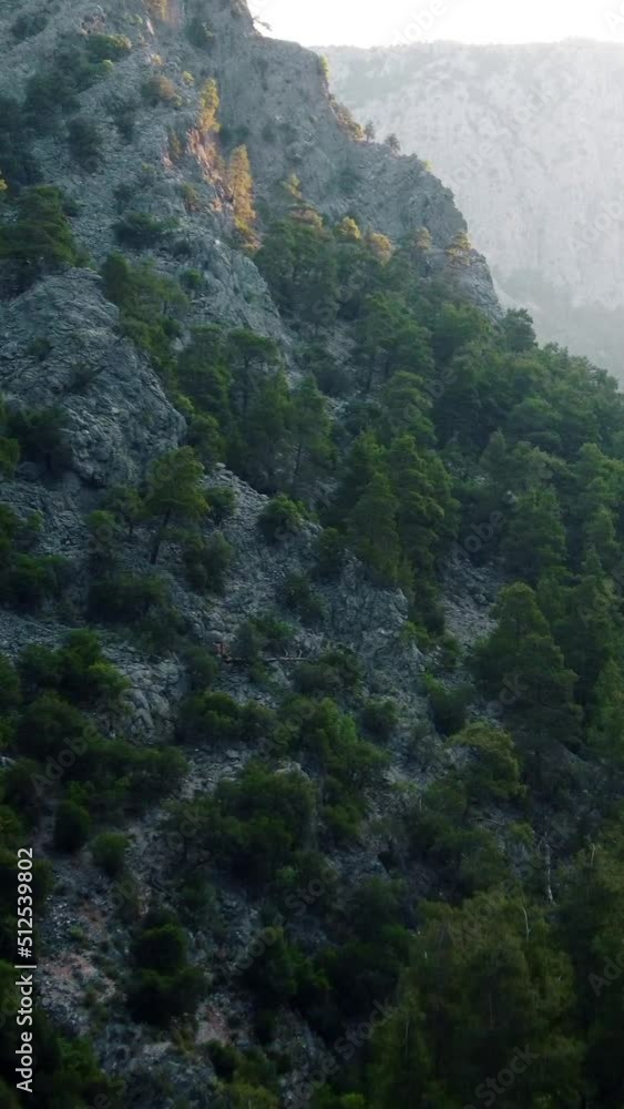 mountains and trees mountains and trees