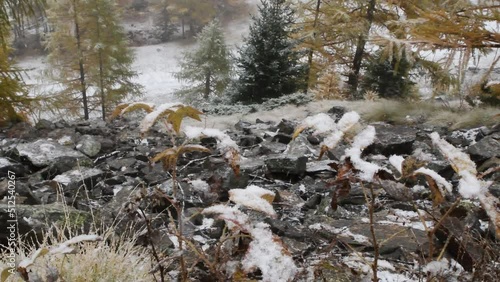 mountain landscape in winter, panoramic, snow, wood,  photo