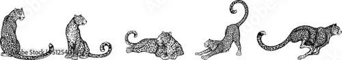 Set of hand drawn sketch style leopards isolated on white background. Vector illustration.