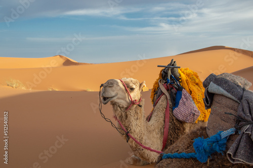 fotografie del Marocco in Africa photo