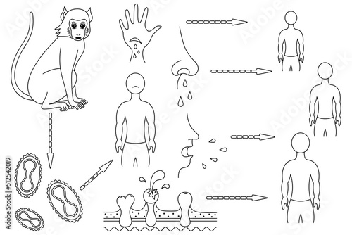 Monkeypox. The route of infection and the mechanism of transmission to humans of the smallpox virus. Sketch. Monkey - virus - man. Vector illustration. Coloring book for children. Viral disease. 