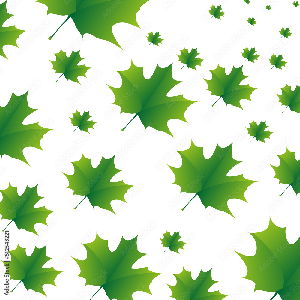 The green maple leaves pattern on white background. the exture autumn maples in illustration templates The green maple leaves pattern on white background. the exture autumn maples in illustration templates