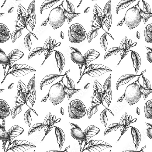 Outline vector lemon seamless pattern. Lemonade citrus repeat. Lemon leaves, branches and flowers.