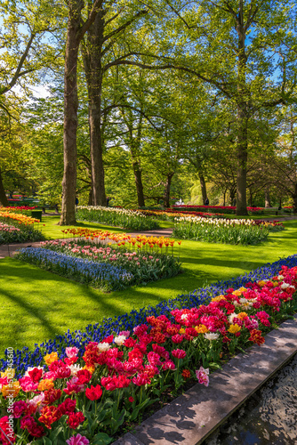 Blooming Garden of Europe  Keukenhof park. Netherlands