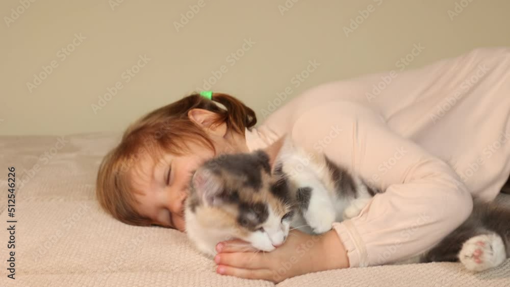 a little girl with a kitten is lying on the couch at home stroking a little girl with a kitten is lying on the couch at home stroking