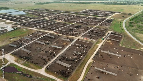 Wallpaper Mural Global warming attributed to bovine carbon dioxide emissions. Huge cattle ranch in USA. Aerial review. Torontodigital.ca