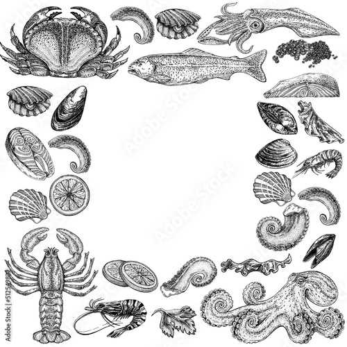 Seafood illustrations. Hand drawn line sea fishes, sushi rolls, oysters, mussels, lobster, squid, octopus, crabs, prawns