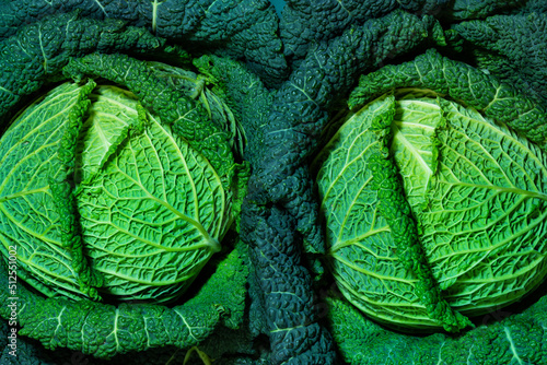 Print op canvas Two savoy cabbage heads close-up with details from above