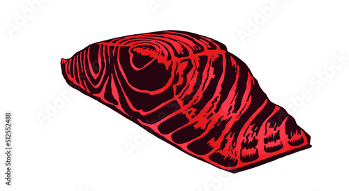 Graphical color fish slice isolated on white, graphical illustration , color element for fishmongers