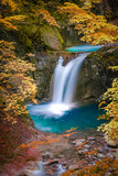 Beautiful Jungle waterfall in a autumn  forest with rock and old tree blue freshwater river. Summer season new leaves. Natural landscape background. Unique photos  Its is Nishizawa Japan